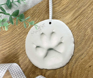 Clay Pet Paw Impression Moulding Kit