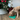 Cockerpoo licking a green lickmat with Christmas trees motif with Turkey and Cranberry paste on it. The dog is pictured in a room with a Christmas tree with gifts underneath.