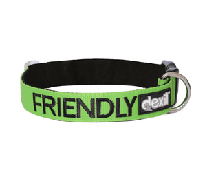 White background with a green Dexil collar with the word 'Friendly' stitched in black.