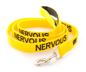 White background with an yellow Dexil lead with the word 'Nervous' stitched in black.