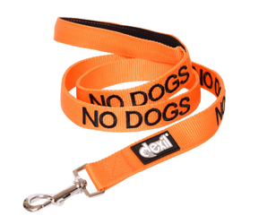 White background with an orange Dexil lead with the word 'No Dogs' stitched in black.