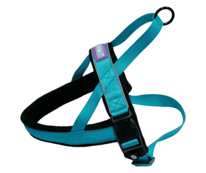 White background with a Dog and Co Padded Reflective Nylon Harness in aqua blue and black with reflective edging and stitching. With a purple tab with 'Dog & Co.' written on it.