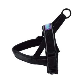White background with a Dog and Co Padded Reflective Nylon Harness in black with reflective edging and stitching. With a purple tab with 'Dog & Co.' written on it.