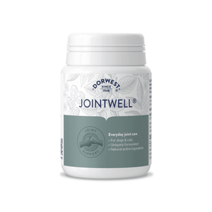 White background with a white and grey tub of Dorwest JointWell tablets. On the pack is a grey banner with white text 'Everyday joint care, for Dogs & Cats, Uniquely formulated, Natural active ingredients'.