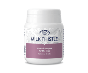 White background with a white and purple tub of Dorwest Milk Thistle tablets. On the pack is a purple banner with white text 'Natural Support for the liver, for dogs and cats'.