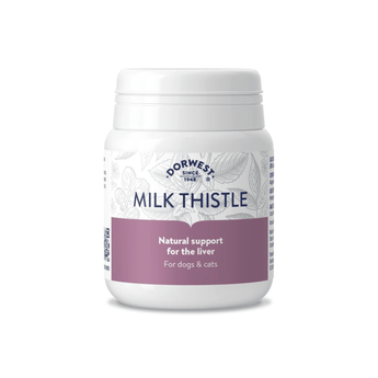 White background with a white and purple tub of Dorwest Milk Thistle tablets. On the pack is a purple banner with white text 'Natural Support for the liver, for dogs and cats'.