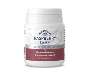 White background with a white and burgundy tub of Dorwest Green Releaf tablets. On the pack is a burgundy banner with white text 'Hormonal balance & pregnancy support, for dogs & cats'.