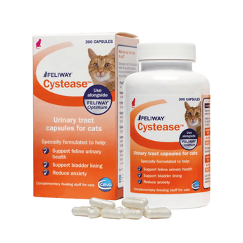 White background with a picture of an orange and white box of 300 capsule Feliway Cystease with a ginger tabby cat pictured. Text on the packet 'Feliway Cystease, Urinary tract supplement for cats, Specially formulated to help: Support feline urinary health, Support bladder lining, Reduce anxiety.' Next to the box is a bottle of the product with the same details as the box. In the foreground is a pile of the capsules.