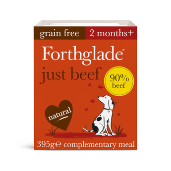 A box of Forthglade Just Beef grain free complementary food for dogs, 2 months+, shown on a plain white background. The packaging is primarily orange-red with brown, white, and yellow text and graphics, including a cartoon Dalmatian.