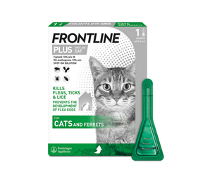 Frontline Plus flea, tick and lice treatment for cats and ferrets, shown with its retail box and a green application tool on a white background.