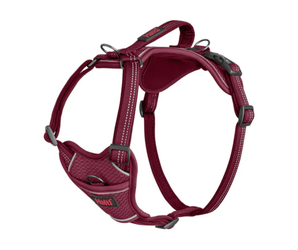 White background with a Magenta Halti Anatomy Harness with a metal clips and loops.
