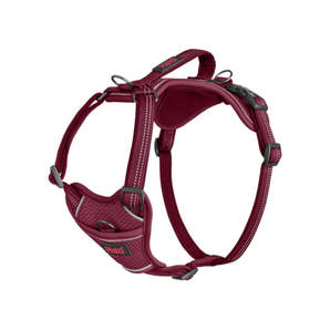 White background with a Magenta Halti Anatomy Harness with a metal clips and loops.