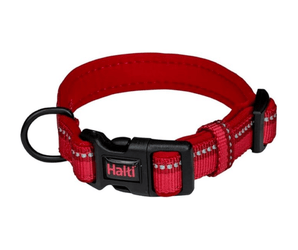 White background with a Halti Red Comfort Collar with a black plastic buckle and loop.
