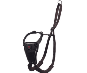 White background with a Black Halti 'No Pull' Harness with a metal clips and loops.