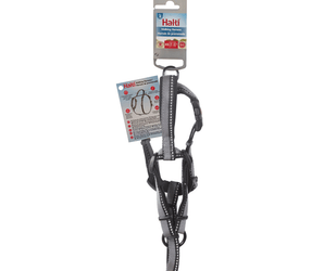 White background with a black and grey Halti Walking Harness with a metal clips and loops, attached to a cardboard tag.
