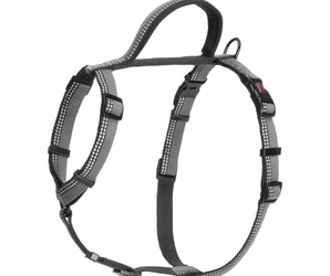 White background with a black and grey Halti Walking Harness with a metal clips and loops.