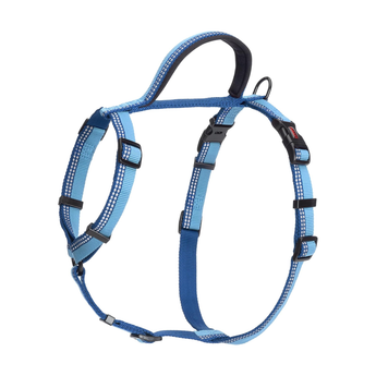 White background with a blue Halti Walking Harness with a metal clips and loops.
