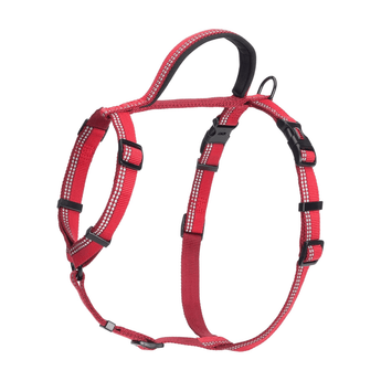 White background with a Red Halti Walking Harness with a metal clips and loops.