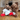 Two brown dogs sitting on a wooden floor both with a Happy Pet Lamb Chop plush dog toy in different sizes, laying in front of a brick fireplace.