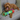 A brown poodle cross dog laying on a grey sofa with a colourful Happy Pet Very Hungry Caterpillar plush tugger dog toy.