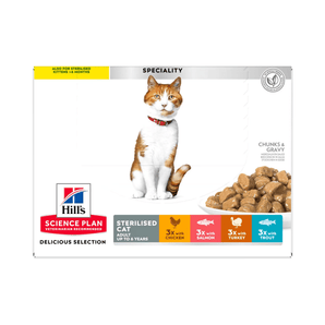 Box of wet cat food pouches with an adult ginger tabby cat pictured on the box, text on the box says 'Sterilised Cat Adult up to 6 years' and '3x with Chicken, x3 with Salmon, 3x with Turkey, 3x with Trout' below is a picture of the wet food.