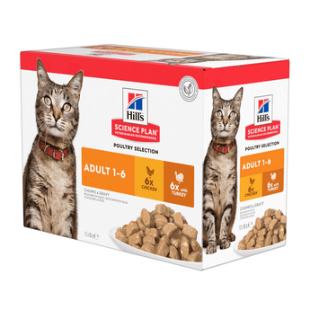 Box of wet cat food pouches with an adult brown tabby cat pictured on the box, text on the box says 'Adult 1-6' and 'with Chicken x6 and with Turkey x6' below is a picture of the wet food.