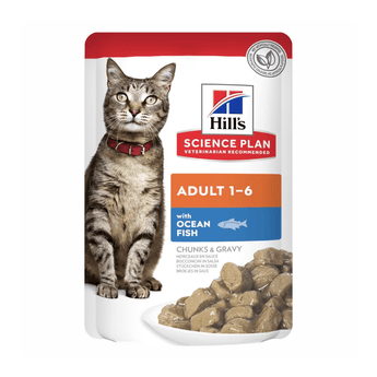 Wet cat food pouch with a brown tabby cat pictured on the packet, text on pouch says 'Adult 1-6' and 'with Ocean Fish' below is a picture of the wet food.