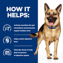 Picture of an adult German Shepherd dog pictured next to a blue section with white text stating 'How it helps: Actively nourishes the gut microbiome and promotes regular healthy stool, Helps soothe digestive tract, Clinically shown to help limit recurrence of digestive upsets.'