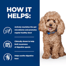 Picture of a brown adult toy poodle-type dog pictured next to a blue section with white text stating 'How it helps: Actively nourishes the gut microbiome and promotes regular healthy stool, Clinically shown to help limit recurrence of digestive upsets, Helps soothe digestive tract.'