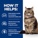 Picture of a long haired adult brown tabby cat pictured next to a blue section with white text stating 'How it helps: Works quickly to nourish the microbiome and promote healthy stool, Clinically shown to help limit recurrence of digestive upsets, Supports activity of beneficial gut bacteria to maintain digestive health.'