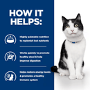 Picture of an adult black and white cat pictured next to a blue section with white text stating 'How it helps: Highly palatable nutrition to replenish lost nutrients, Works quickly to promote healthy stool & help improve digestion, Helps restore energy levels & promote a healthy immune system.'