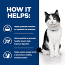 Picture of an adult black and white cat pictured next to a blue section with white text stating 'How it helps: Highly palatable nutrition to replenish lost nutrients, Works quickly to promote healthy stool & help improve digestion, Helps restore energy levels & promote a healthy immune system.'