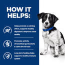 Picture of an small black and white adult dog pictured next to a blue section with white text stating 'How it helps: Helps promote a calming effect, supports healthy digestion & improves stool quality, Promotes activity of beneficial gut bacteria & calms the GI tract, Long term feeding helps support a healthy immune system.'