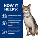 Picture of an adult grey tabby cat pictured next to a blue section with white text stating 'How it helps: Helps protect vital kidney function, Helps manage the changes in the gut microbiome caused by impaired kidney function, Supports natural ability to build and maintain muscle mass.'