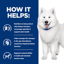Picture of an adult Samoyed dog pictured next to a blue section with white text stating 'How it helps: Nutrition to help protect vital kidney function, encourage appetite & support joint health, Helps manage the changes in the gut microbiome caused by impaired kidney function, Supports natural ability to build and maintain muscle mass'.