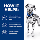 Picture of an adult Dalmatian dog pictured next to a blue section with white text stating 'How it helps: Reduces the building blocks of urate & cystine stones, Decreases risk of urate & cystine stone recurrence, Supports a healthy immune system'.