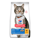 Hills Science Plan cat dry food packaged in a white bag with an adult tabby and white cat pictured on the bag. Text on bag say 'Hill's Science Plan, veterinarian recommended' and 'Oral Care, Adult 1 year+' with a chicken pictured with text 'with chicken' beneath on white background.
