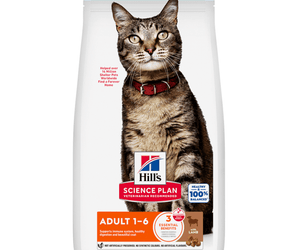 Hills Science Plan Adult Cat Dry Food Lamb on white background