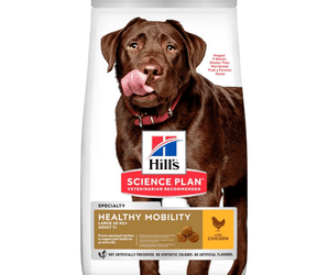 Hills Science Plan dry dog food packaged in a white bag with a brown adult Labrador dog pictured on the bag. Text on bag say 'Hill's Science Plan, veterinarian recommended' and 'Healthy Mobility, Large Adult 1+' with a chicken pictured with text 'with chicken' beneath on white background.