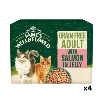 White background with a box of James Wellbeloved Grain Free Salmon Adult Wet Food. The tin is green and cream with 2 cats pictured, with text 'Grain Free Adult, Salmon in Jelly.