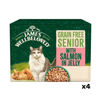 White background with a box of James Wellbeloved Grain Free Salmon Senior Wet Food. The tin is green and cream with 2 cats pictured, with text 'Grain Free Senior, Salmon in Jelly.