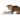 White background with a kitten playing with a blue and green KONG Crackles Grasshopper cat toy.