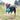 Black and tan young adult dog playing with a blue KONG Jumbler Football, in a grass area.