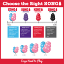 Choosing the right KONG benefits infographic