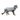 White background with an young adult tabby cat wearing a grey bodysuit with a black trim while standing pictured.