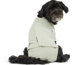 White background with an adult black cross breed dog wearing a geometric blue bodysuit while sat down with its back facing the front.