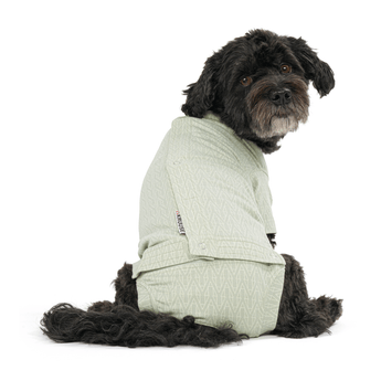 White background with an adult black cross breed dog wearing a geometric blue bodysuit while sat down with its back facing the front.