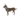 White background with a brown chihuahua type dog wearing a transparent plastic Elizabethan style recovery collars with purple coloured bones on it.