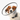 White background with a close up of a brown and white collie type dog wearing a transparent plastic Elizabethan style recovery collar.