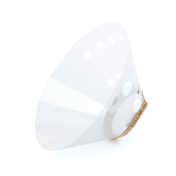 White background with an Elizabethan style transparent plastic recovery collar with a beige fabric trim at the base.